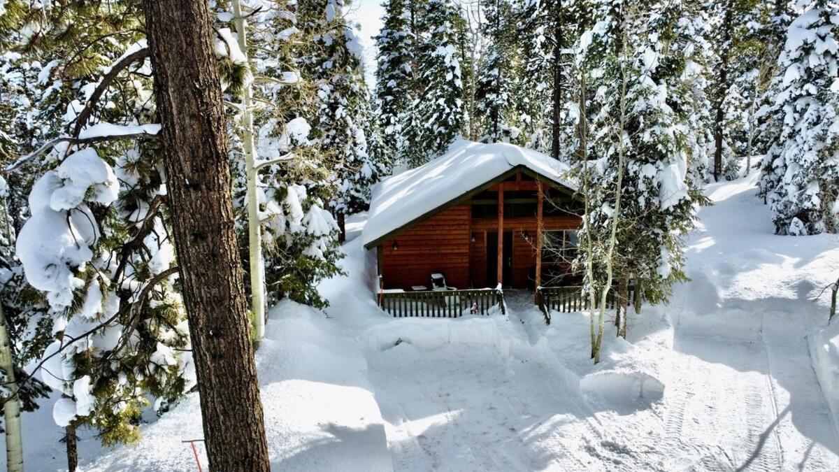 Lovely Log Cabin With Fire Pit! Duck Creek Village Exterior foto